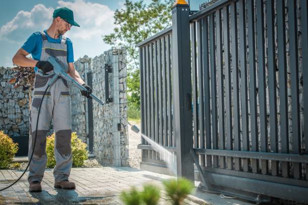 Best Gutter Cleaning  in Wolverine Lake, MI