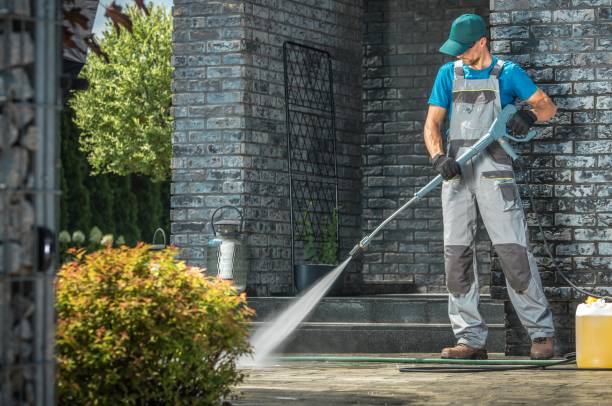 Pre-Holiday Cleaning in Wolverine Lake, MI